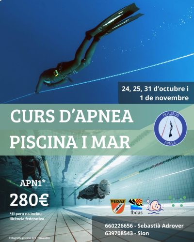 24,25,31 octubre y 1 noviembre, curso de apnea